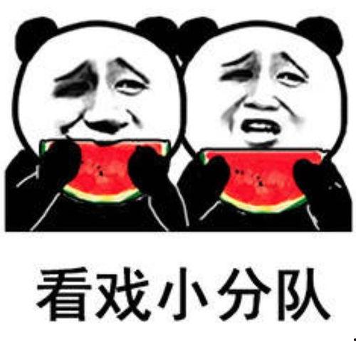吃瓜表情包暗示着什么意思啊图片,揭秘网络社交中的隐秘心理
